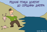 Ирак: атака на украинских миротворцев
