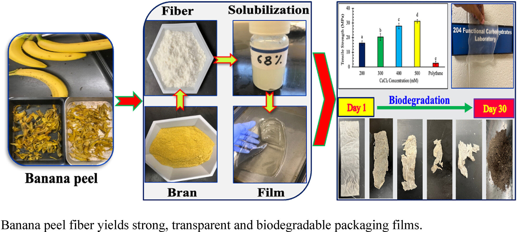Sustainable Chemistry and Pharmacy (2023). DOI: 10.1016/j.scp.2023.101400